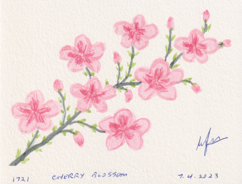 1721-CHERRY-BLOSSOM