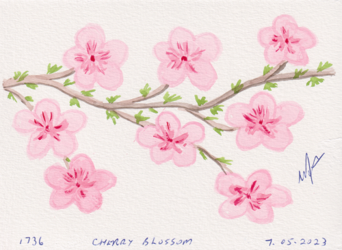 1736-CHERRY-BLOSSSOM