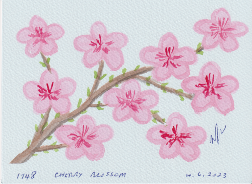 1748-CHERRY-BLOSSOM