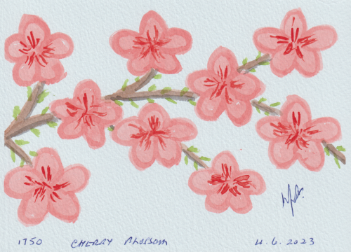 1750-CHERRY-BLOSSOM