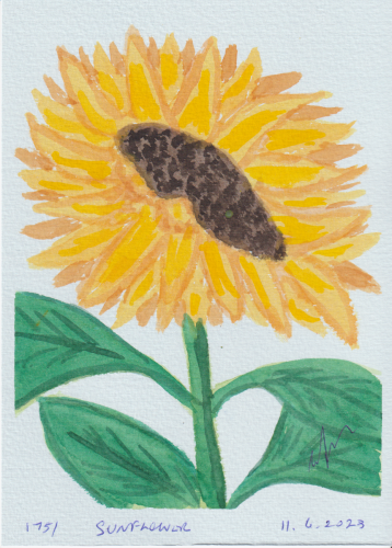 1751-SUNFLOWER