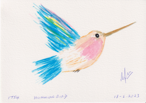 1754-HUMMINGBIRD