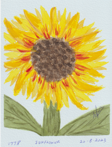 1778-SUNFLOWER