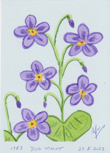 1783-DOG-VIOLET